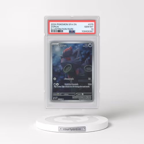2024 Pokémon Sfa EN-Shrouded Fable #075 Zorua - Illustration Rare (PSA 10 GEM MINT)