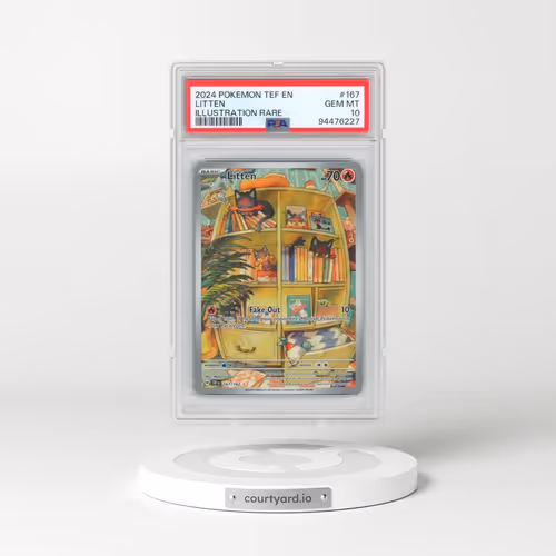 2024 Pokémon Tef EN-Temporal Forces #167 Litten - Illustration Rare (PSA 10 GEM MINT)