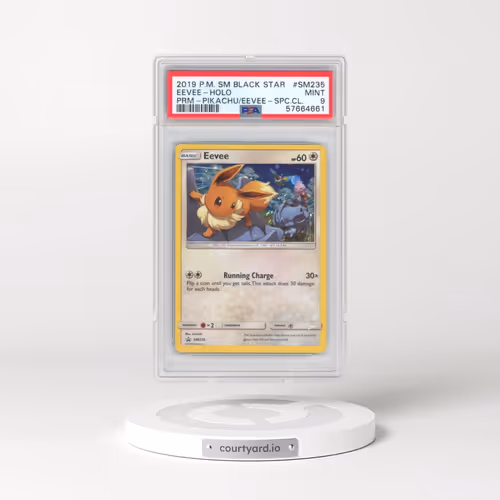 2019 Pokémon SM Black Star Promo #SM235 Eevee - Holo Pikachu-GX & Eevee-GX Special Collection (PSA 9
