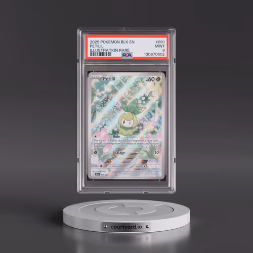 2025 Pokémon Blk EN-Black Bolt #091 Petilil - Illustration Rare (PSA 9 MINT)