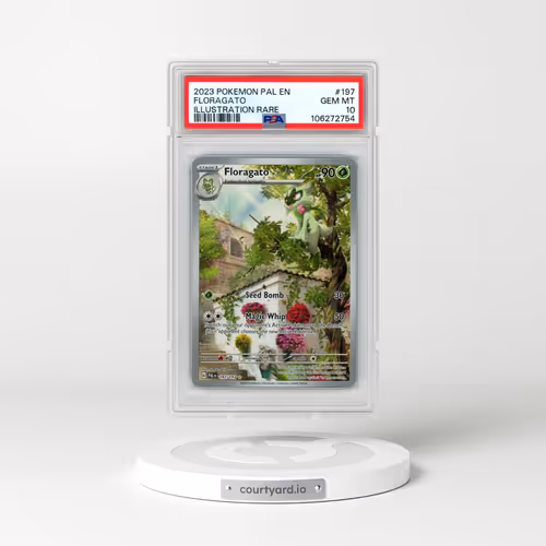 2023 Pokémon Pal EN-Paldea Evolved #197 Floragato - Illustration Rare (PSA 10 GEM MINT)