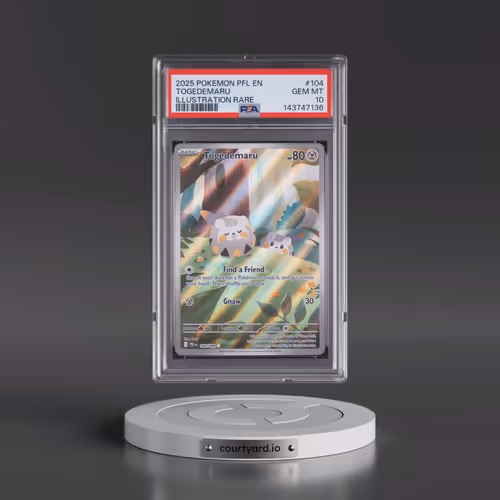 2025 Pokémon Pfl EN-Phantasmal Flames #104 Togedemaru - Illustration Rare (PSA 10 GEM MINT)