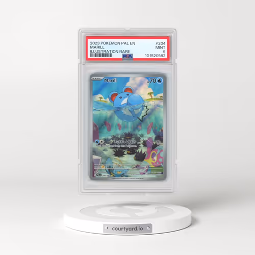 2023 Pokémon Pal EN-Paldea Evolved #204 Marill - Illustration Rare (PSA 9 MINT)