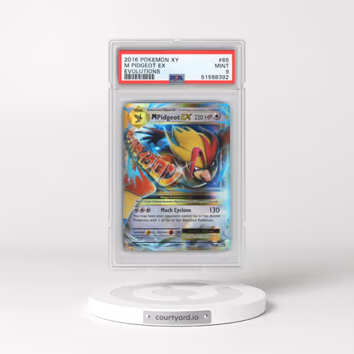 2016 Pokémon XY Evolutions #65 M Pidgeot EX - Holo (PSA 9 MINT)