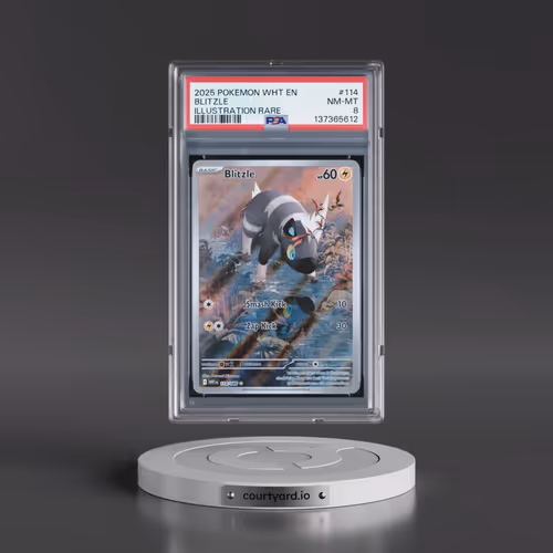 2025 Pokémon Wht EN-White Flare #114 Blitzle - Illustration Rare (PSA 8 NM-MT)