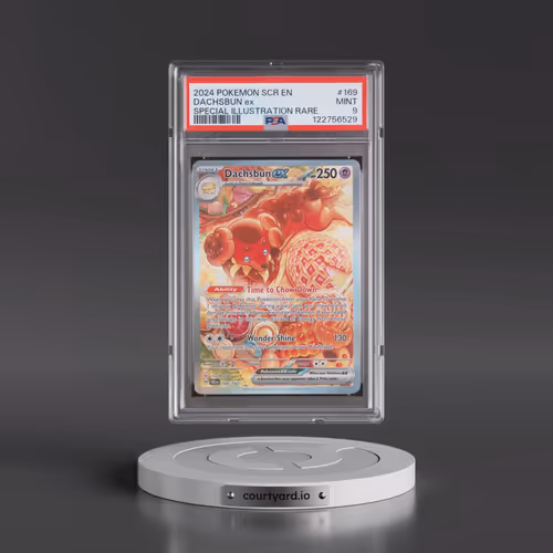 2024 Pokémon Scr EN-Stellar Crown #169 Dachsbun EX - Holo Special Illustration Rare (PSA 9 MINT)