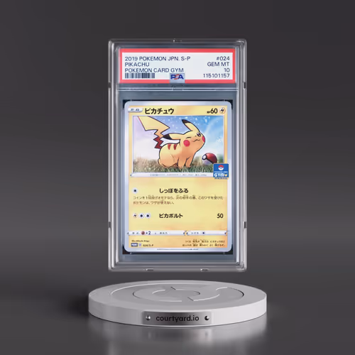 2019 Pokémon S Promo #024 Pikachu - Pokemon Card Gym (PSA 10 GEM MINT)