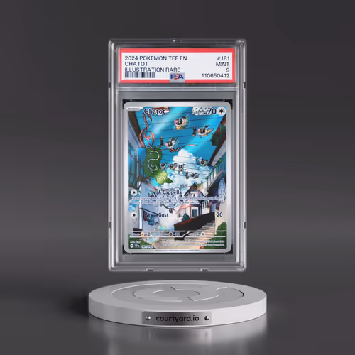 2024 Pokémon Tef EN-Temporal Forces #181 Chatot - Illustration Rare (PSA 9 MINT)
