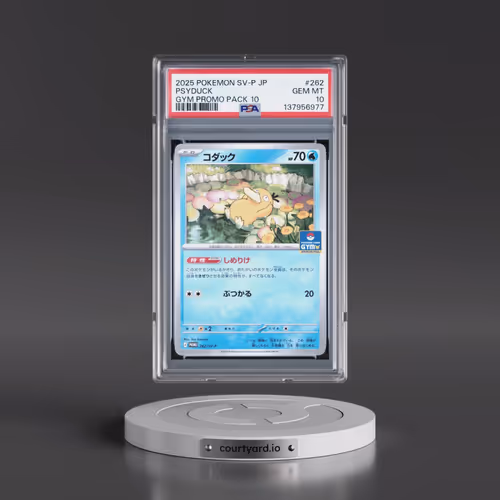 2025 Pokémon SV-P Promo #262 Psyduck - Gym Promo Pack 10 (PSA 10 GEM MINT)