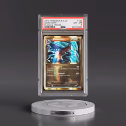 2013 Pokémon Black & White Plasma Freeze #120 Garchomp (PSA 8 NM-MT)