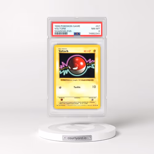 1999 Pokémon Game #67 Voltorb - Shadowless (PSA 8 NM-MT)
