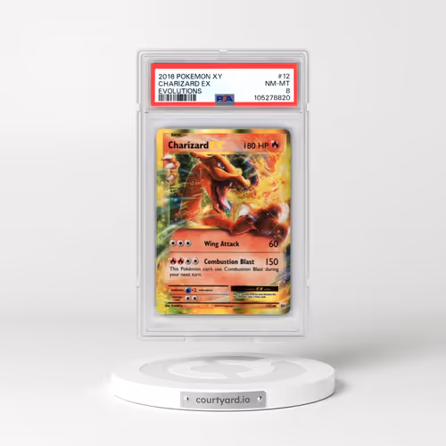 2016 Pokémon XY Evolutions #12 Charizard EX - Holo (PSA 8 NM-MT)
