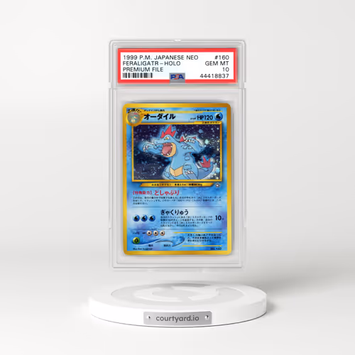 2000 Pokémon Neo #160 Feraligatr - Holo Premium File (PSA 10 GEM MINT)