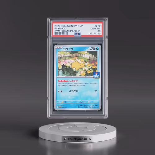 2025 Pokémon SV-P Promo #262 Psyduck - Gym Promo Pack 10 (PSA 10 GEM MINT)