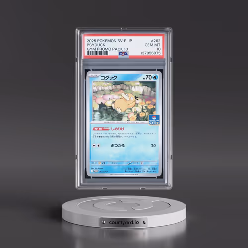 2025 Pokémon SV-P Promo #262 Psyduck - Gym Promo Pack 10 (PSA 10 GEM MINT)