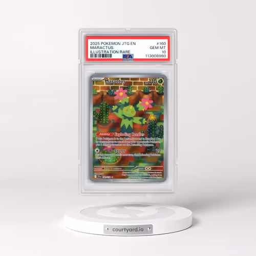 2025 Pokémon Jtg EN-Journey Together #160 Maractus - Illustration Rare (PSA 10 GEM MINT)