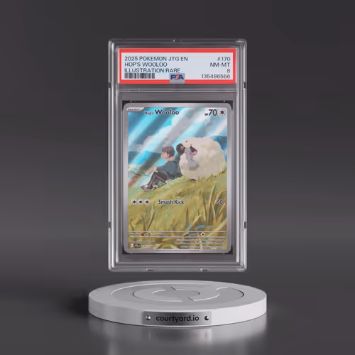 2025 Pokémon Jtg EN-Journey Together #170 Hop's Wooloo - Illustration Rare (PSA 8 NM-MT)