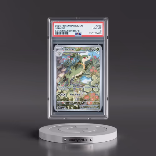 2025 Pokémon Blk EN-Black Bolt #088 Servine - Illustration Rare (PSA 8 NM-MT)