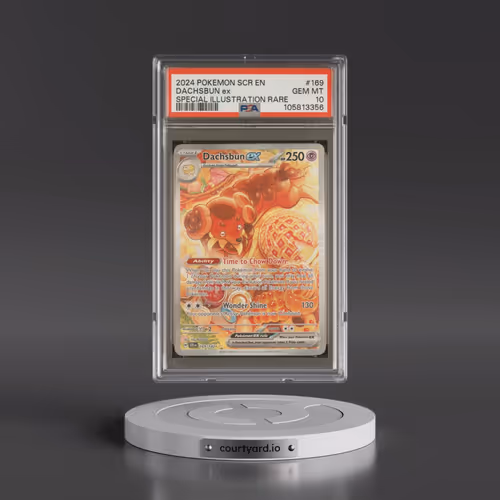 2024 Pokémon Scr EN-Stellar Crown #169 Dachsbun EX - Holo Special Illustration Rare (PSA 10 GEM MINT