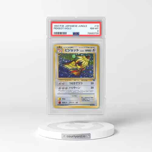 1997 Pokémon Jungle #18 Pidgeot - Holo (PSA 8 NM-MT)