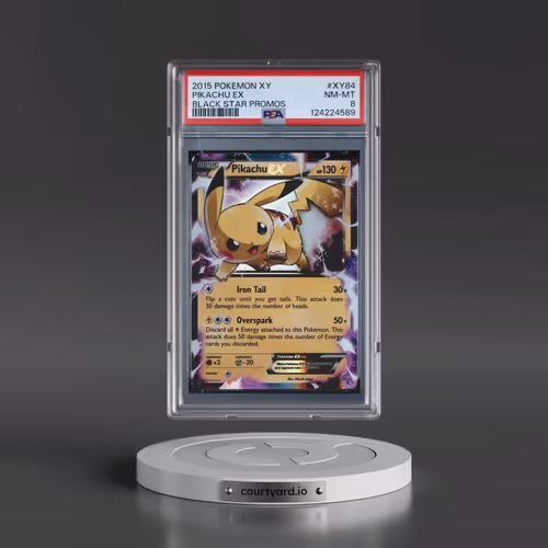 2015 Pokémon XY Black Star Promos #XY84 Pikachu EX - Holo (PSA 8 NM-MT)