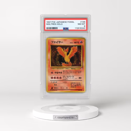 1997 Pokémon Fossil #146 Moltres - Holo (PSA 8 NM-MT)