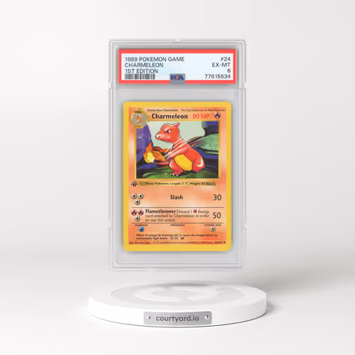 1999 Base Set #24 Charmeleon - 1st Edition Shadowless (PSA 6 EX-MT)