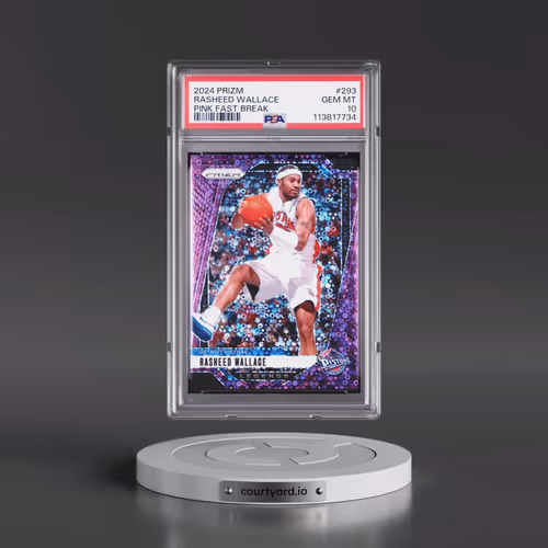 2024 Panini Prizm #293 Rasheed Wallace - Pink Fast Break (PSA 10 GEM MINT)