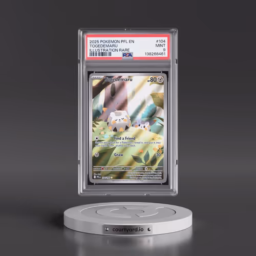 2025 Pokémon Pfl EN-Phantasmal Flames #104 Togedemaru - Illustration Rare (PSA 9 MINT)