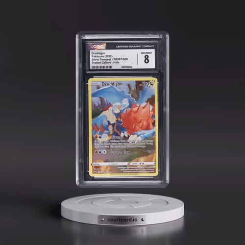 Druddigon - Trainer Gallery Holo