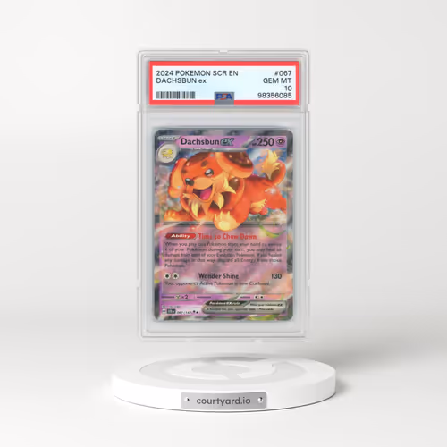 2024 Pokémon Scr EN-Stellar Crown #067 Dachsbun EX - Holo (PSA 10 GEM MINT)