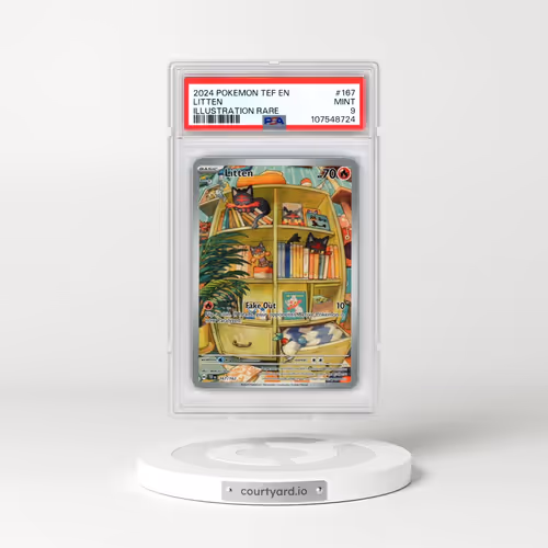 2024 Pokémon Tef EN-Temporal Forces #167 Litten - Illustration Rare (PSA 9 MINT)