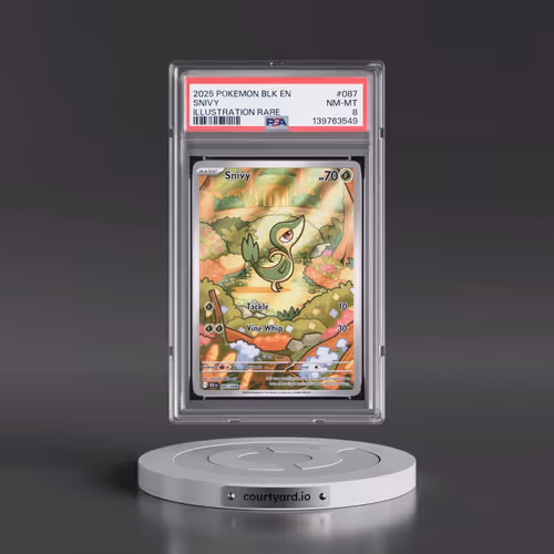 2025 Pokémon Blk EN-Black Bolt #087 Snivy - Illustration Rare (PSA 8 NM-MT)