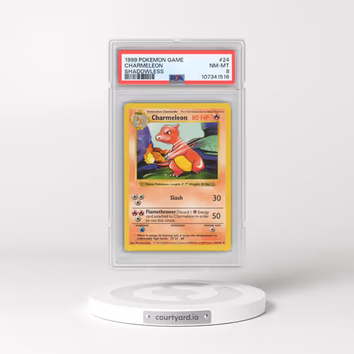 1999 Pokémon Game #24 Charmeleon - Shadowless (PSA 8 NM-MT)