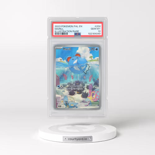 2023 Pokémon Pal EN-Paldea Evolved #204 Marill - Illustration Rare (PSA 10 GEM MINT)