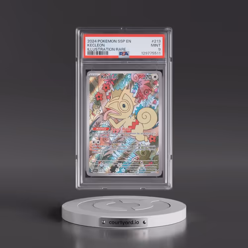 2024 Pokémon Ssp EN-Surging Sparks #213 Kecleon - Illustration Rare (PSA 9 MINT)