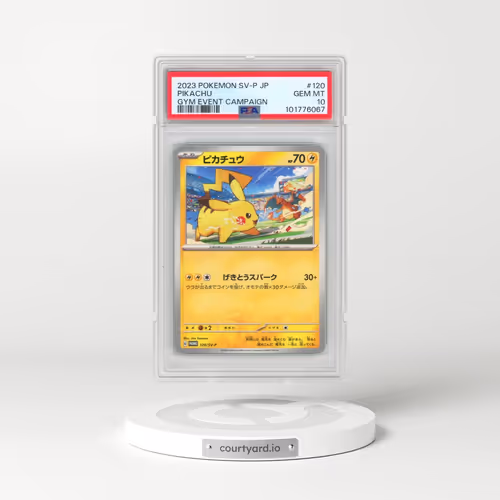 2023 Pokémon SV-P Promo #120 Pikachu - Gym Event Campaign (PSA 10 GEM MINT)