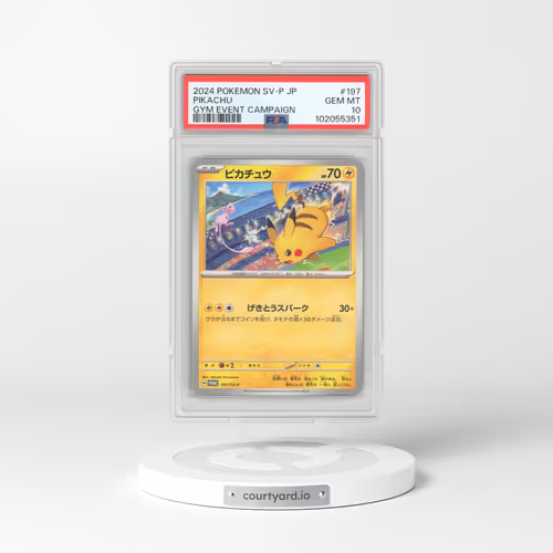2024 Pokémon SV-P Promo #197 Pikachu - Gym Event Campaign (PSA 10 GEM MINT)