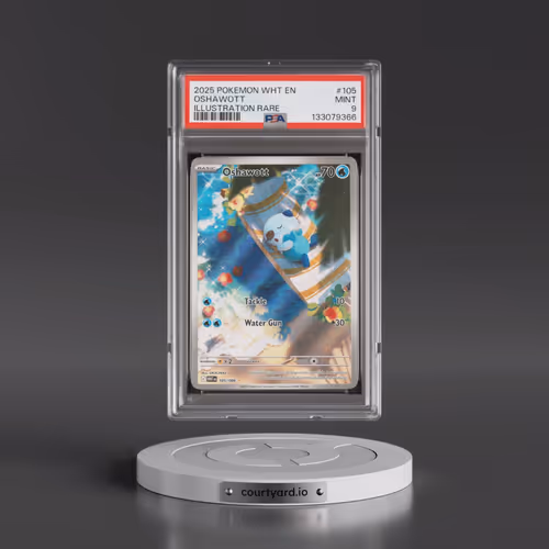 2025 Pokémon Wht EN-White Flare #105 Oshawott - Illustration Rare (PSA 9 MINT)