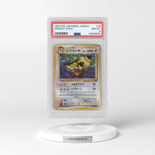 1997 Pokémon Jungle #18 Pidgeot - Holo (PSA 8 NM-MT)