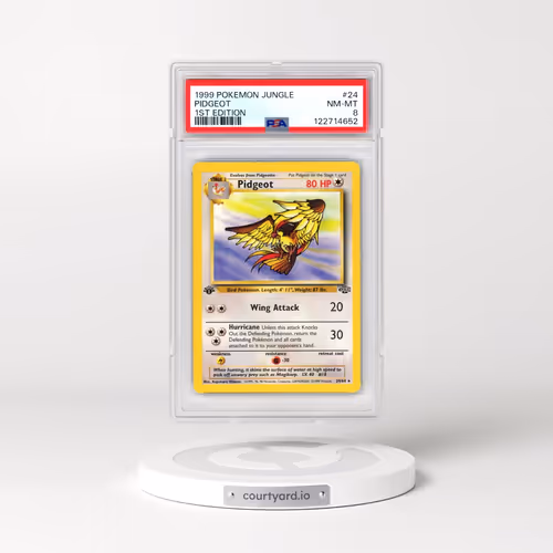 1999 Pokémon Jungle #24 Pidgeot - 1st Edition (PSA 8 NM-MT)