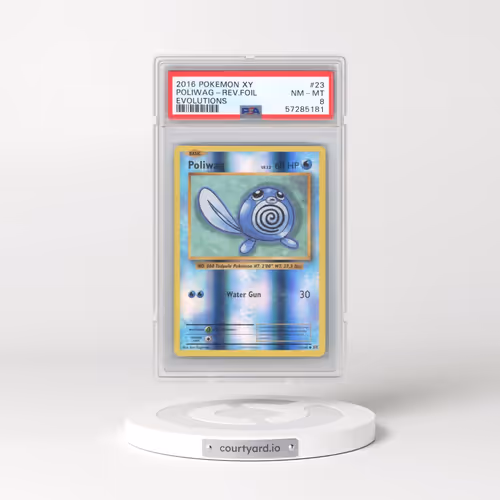 2016 Pokémon XY Evolutions #23 Poliwag - Reverse Foil (PSA 8 NM-MT)