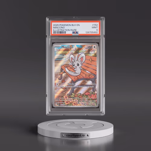 2025 Pokémon Blk EN-Black Bolt #152 Minccino - Illustration Rare (PSA 9 MINT)