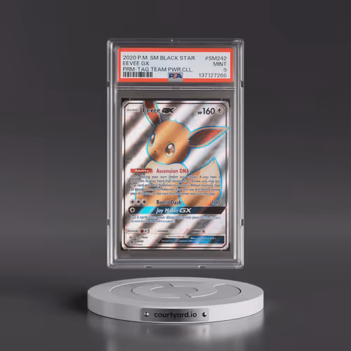 2020 Pokémon SM Black Star Promo #SM242 Eevee GX - Holo Tag Team Powers Collection (PSA 9 MINT)