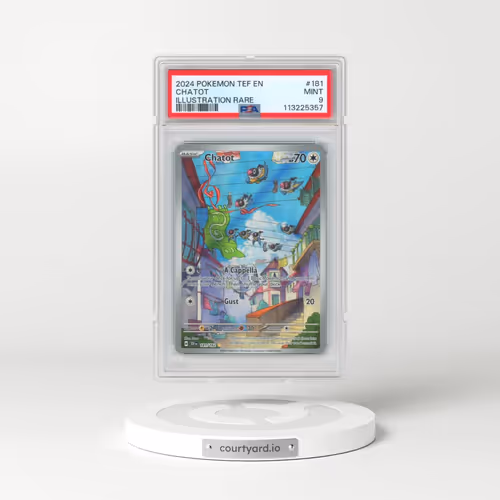 2024 Pokémon Tef EN-Temporal Forces #181 Chatot - Illustration Rare (PSA 9 MINT)