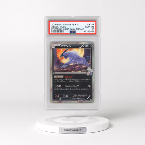 2016 Pokémon XY Promo #XY-P Absol - Holo Pokemon Card Gym (PSA 10 GEM MINT)