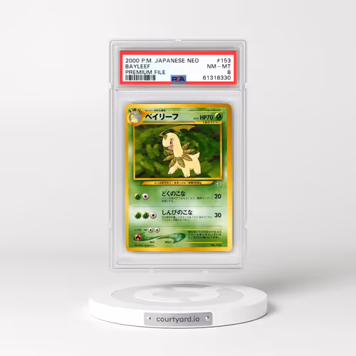 2000 Pokémon Neo #153 Bayleef - Premium File (PSA 8 NM-MT)