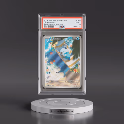 2025 Pokémon Wht EN-White Flare #105 Oshawott - Illustration Rare (PSA 9 MINT)