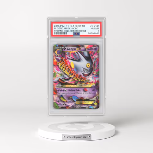 2016 Pokémon XY Black Star Promo #XY166 M Gengar EX - Holo Holo Collector Chest (PSA 8 NM-MT)
