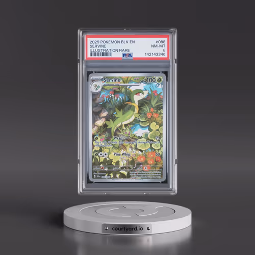 2025 Pokémon Blk EN-Black Bolt #088 Servine - Illustration Rare (PSA 8 NM-MT)